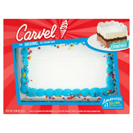 Family Size Ice Cream Cake