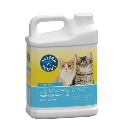 Little Lightweight Jug