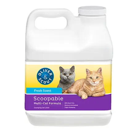 Scooping Cat Litter Scented