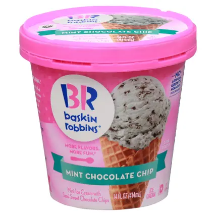 Baskin Robbins Mint Chocolate Chip Ice Cream 14 fl oz
