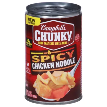 Spicy Chicken Noodle Soup 18.6 oz