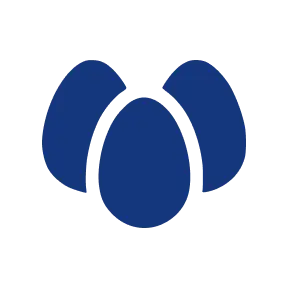 Medium Eggs in Carton