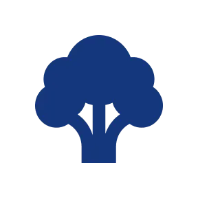 Roasted & Salted Almonds