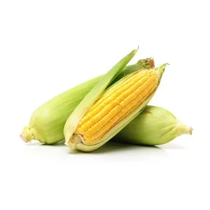 Yellow Sweet Corn